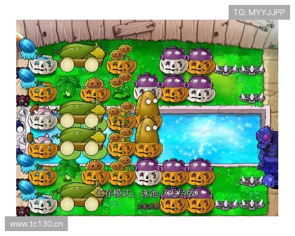 南宫28林帝导航详细介绍，提供最全的游戏资源获取途径与实用攻略助你轻松通关