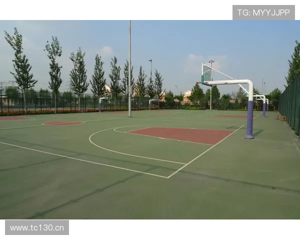 南宫体育222751：打造专业体育社区，增强用户粘性与互动体验