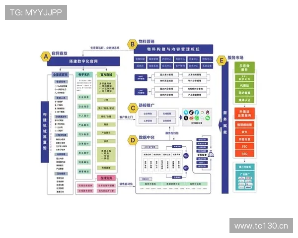 南宫壹号国际：分析其市场推广策略与用户增长的成功案例